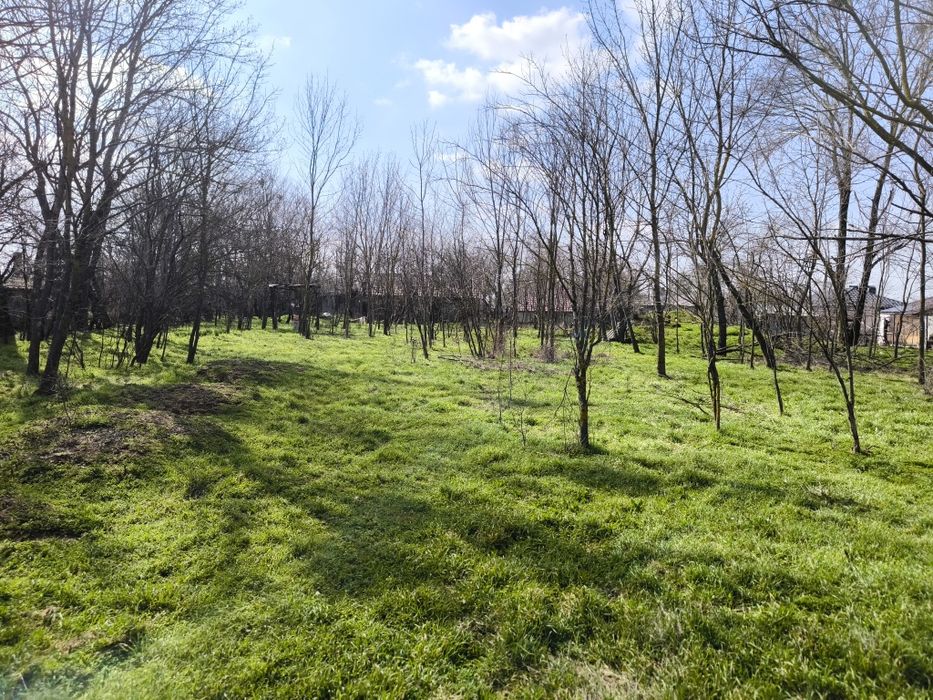 Vind teren intravilan in judetul Teleorman