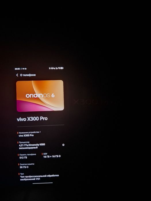 Vivo x300 pro Global