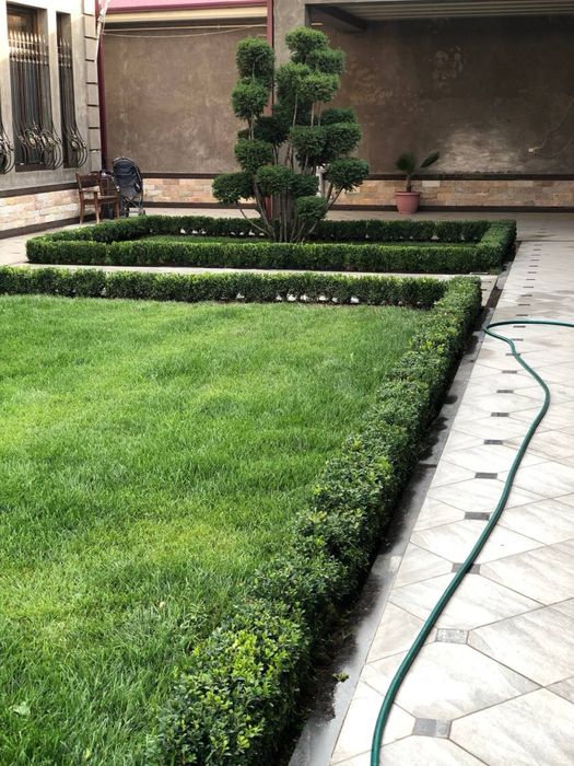 Газоны ландшафтной дизайн