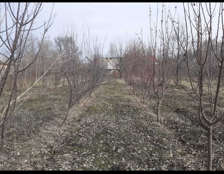 Дом С.Мерке Ул. Жаксылык 47