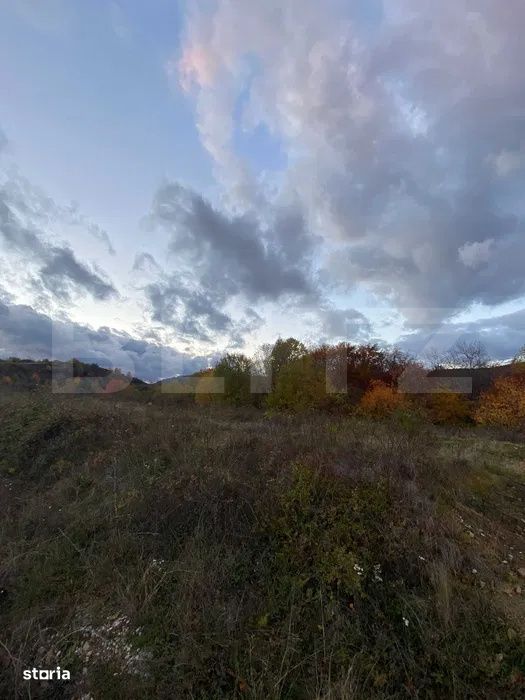 Teren de vanzare – Ramet, jud. Alba