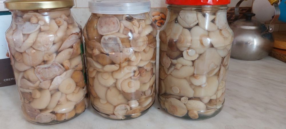 Продам грибы грузди,опята,маслята