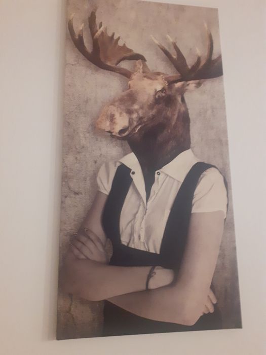 Tablouri animal face