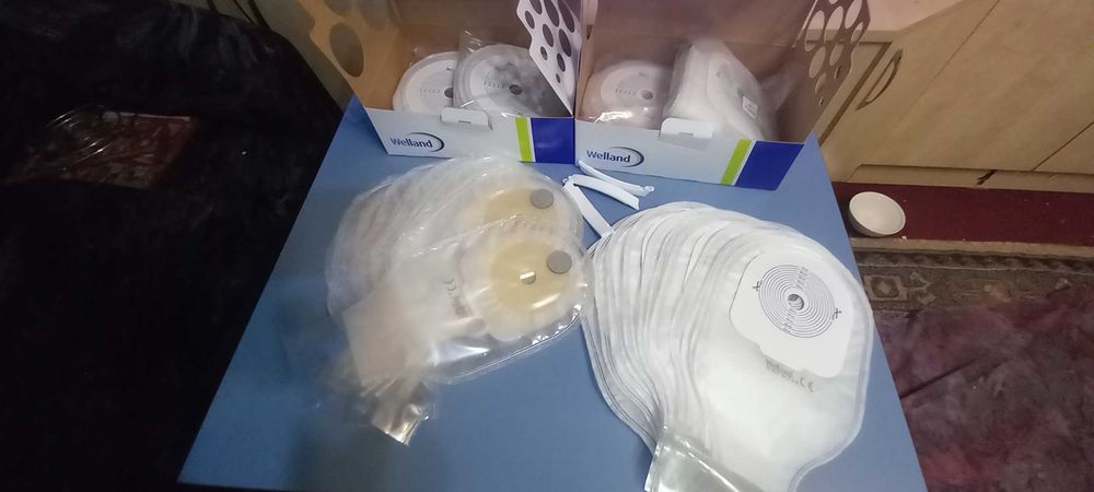 Pungi colostoma (WELLAND).