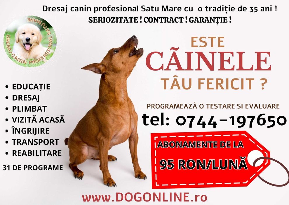 Dresaj canin Satu Mare