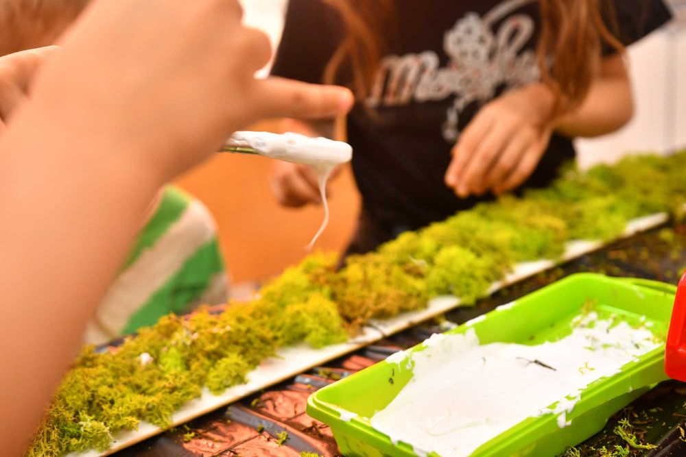 Licheni stabilizați decorativi – cutie 30×30 cm | 350 g