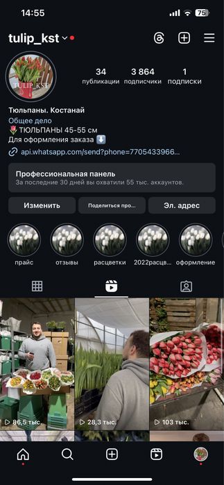 Тюльпаны тепличные большие оптом 55-60 см