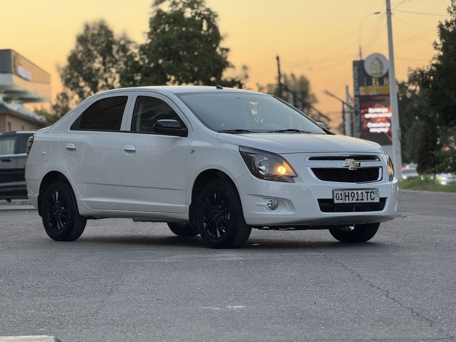 Cobalt midnight 2025 toza