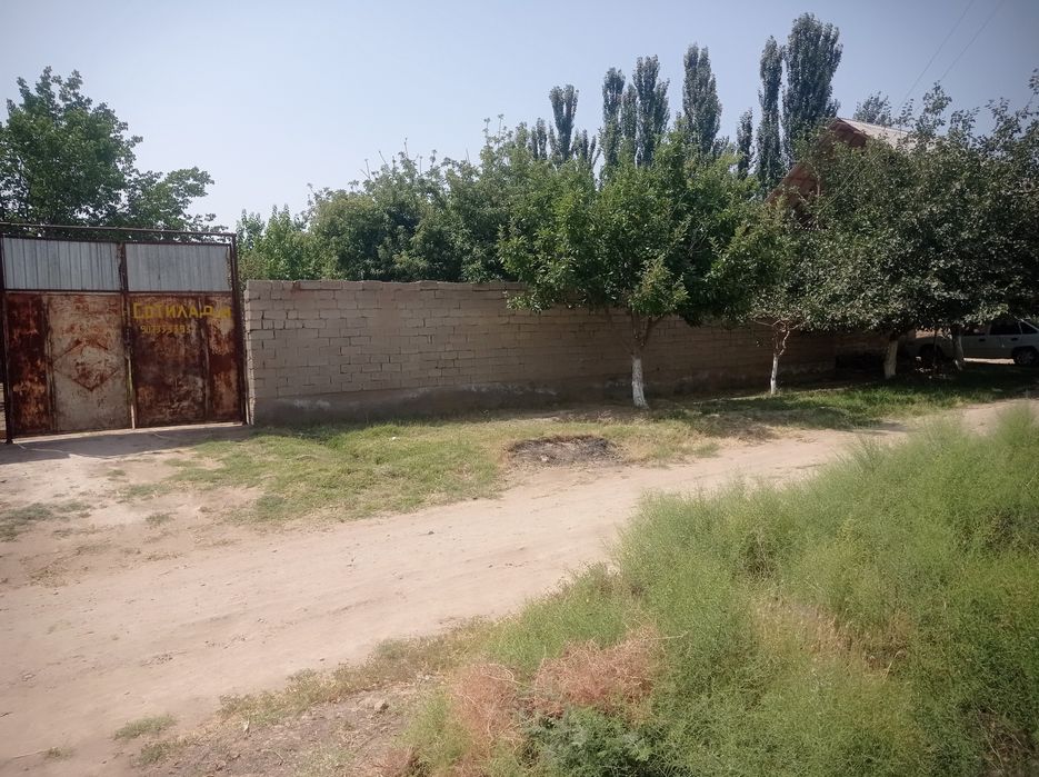 Aralovul mahallasidan 6 sutikli uchastka sotiladi,