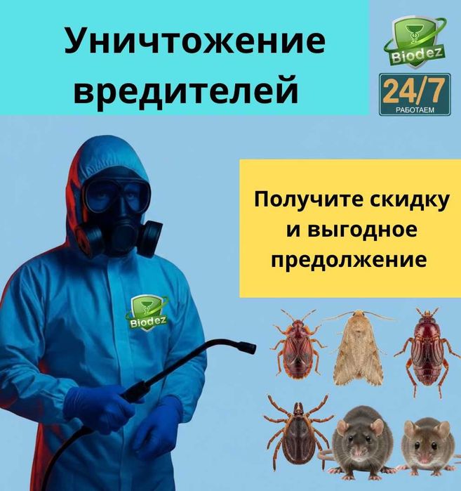 Дезинфекция клопов, тараканов, блох, муравьев, крыс, мышей СЭС служба!