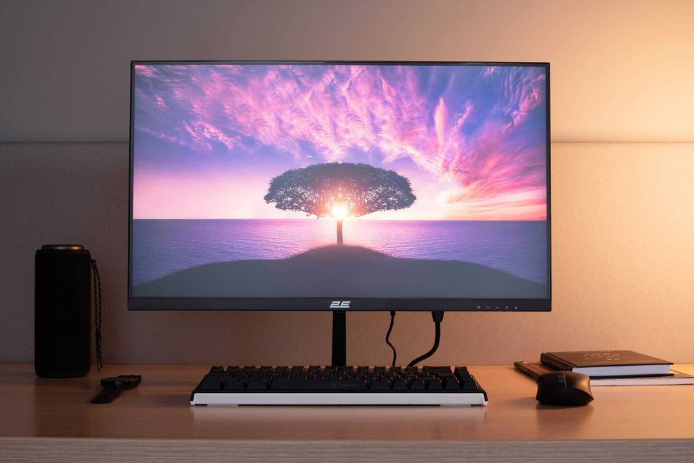 }Монитор 2E 23.8' D2425B D-Sub, IPS, 100Hz, FreeSync