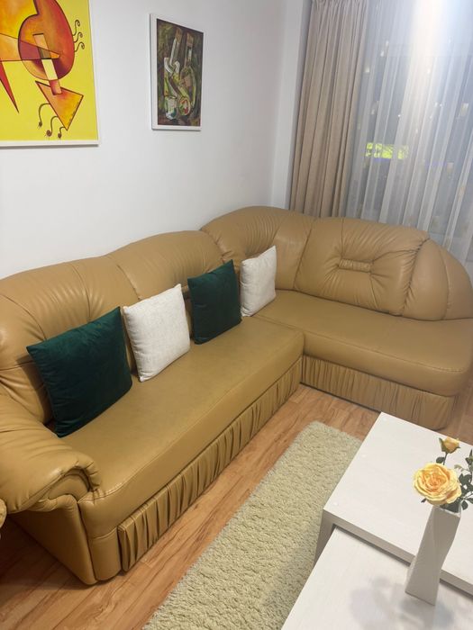 Set coltar extensibil