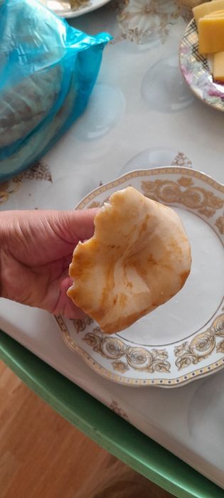 Грибы грузди из горы
