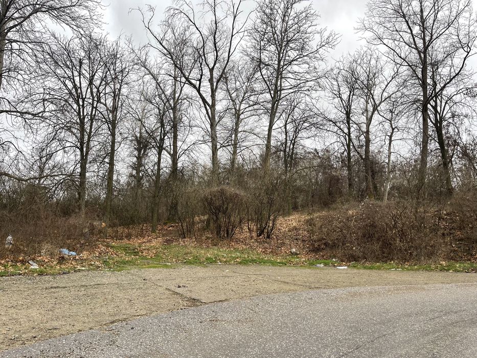 Продава се Парцел в Благоевград, Еленово 1 - 2199 кв.м за 26 €/кв.м - Снимка #6