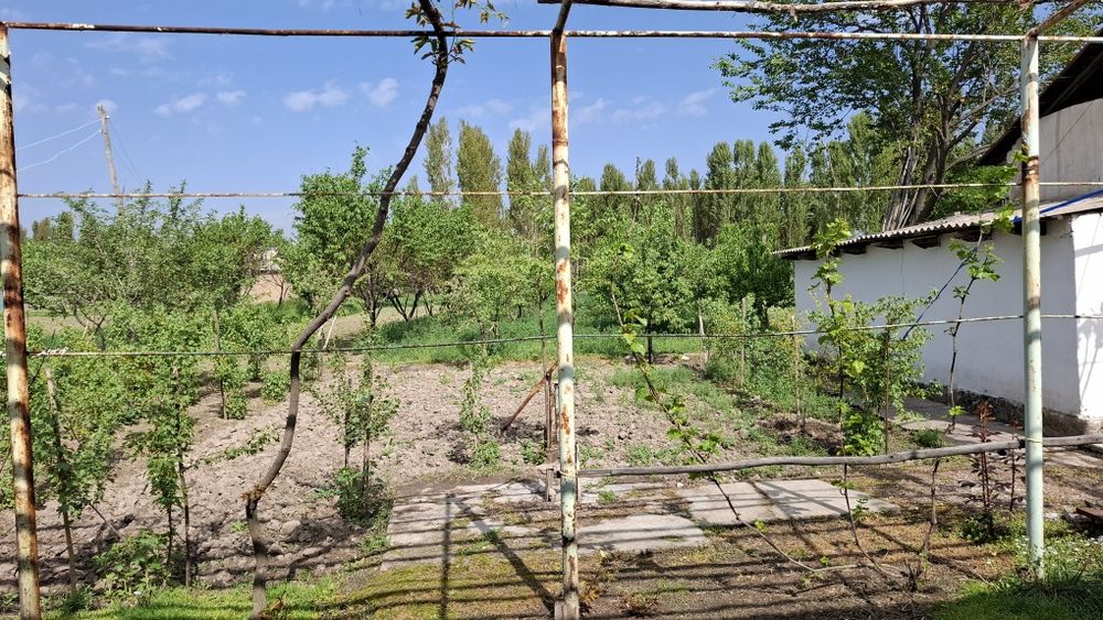 Orta chirchiq tumani  Darxon maxalasi 157uy