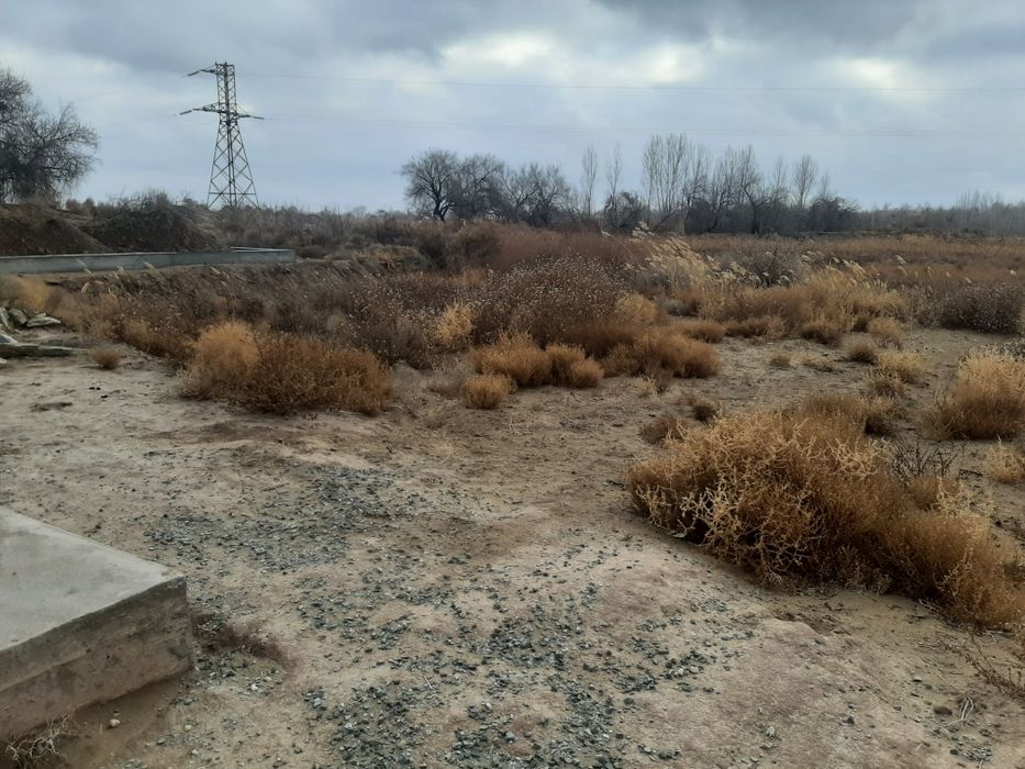 Саломаликумлар жой орин сотилоди 60 млон