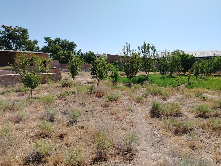 Ховли сотилади. ер майдони 18 сотих