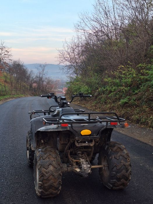 Linhai Worker 300cc 2X4