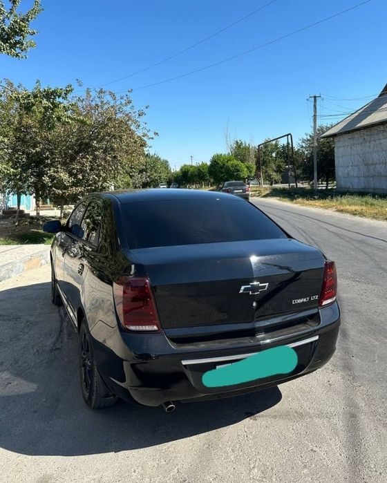 2025 metani bor qora rang