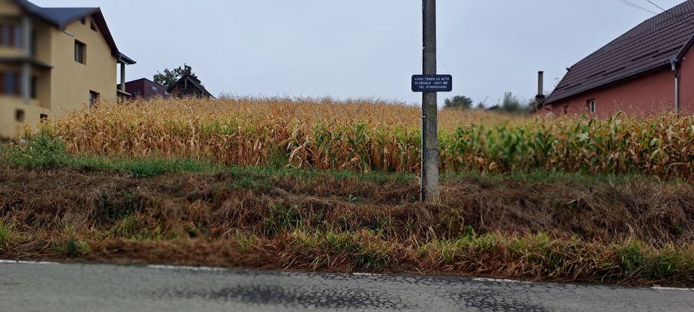 Vând teren intravilan 10000 mp