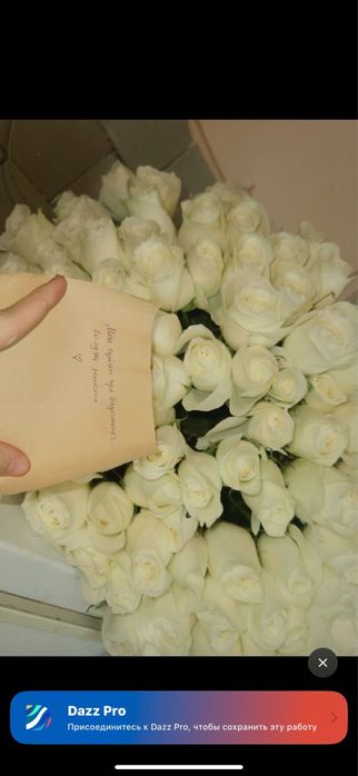 Дау улкен букет роза 101 роза