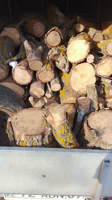 Дрова с доставкой карагач