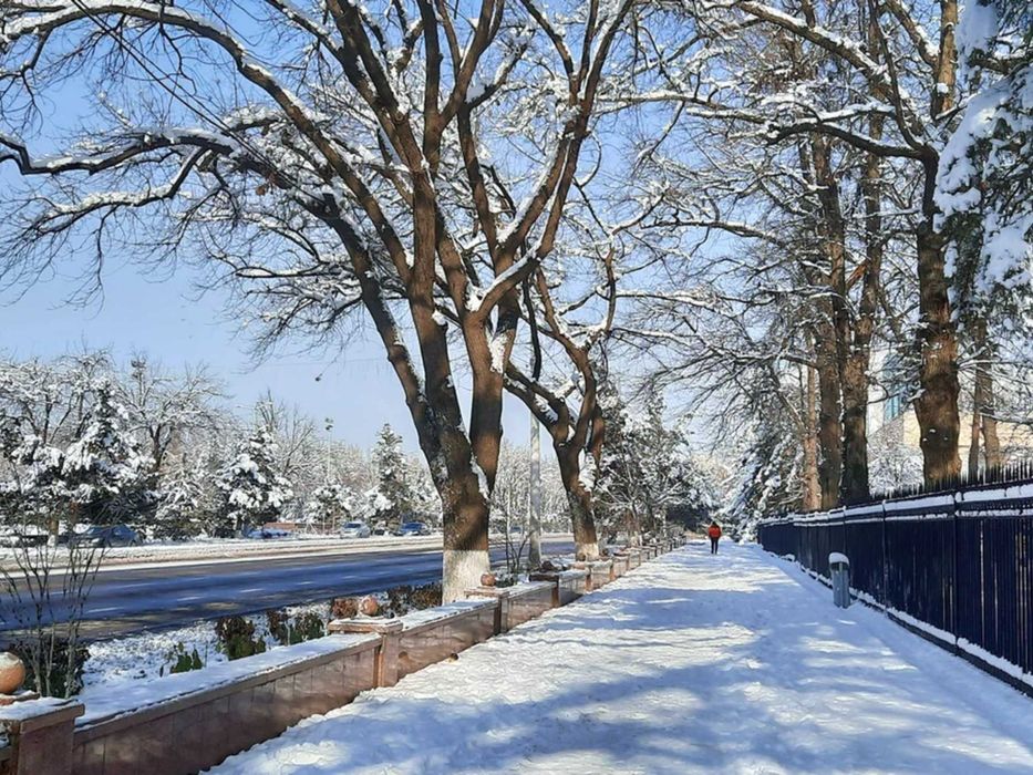 экскурс Дыхание Тамерлана: Монументальное безмолвие зимнего Самарканда