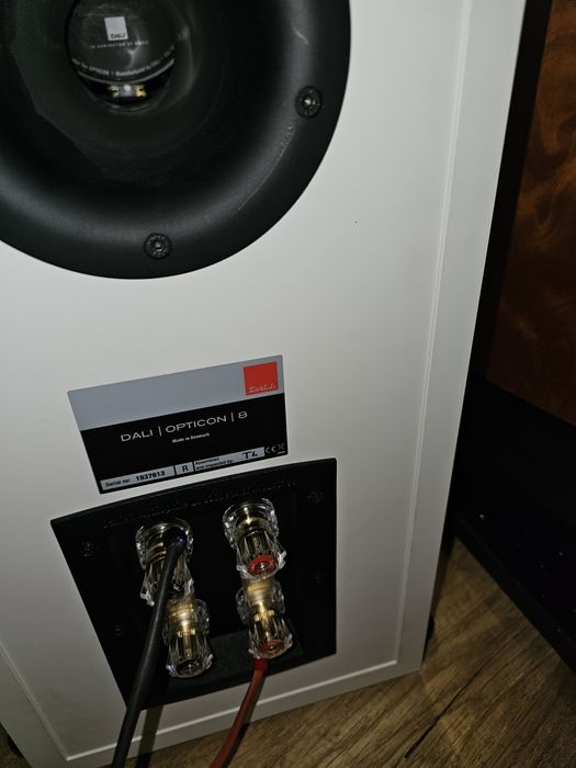 Vand boxe standfloor Dali Opticon 8