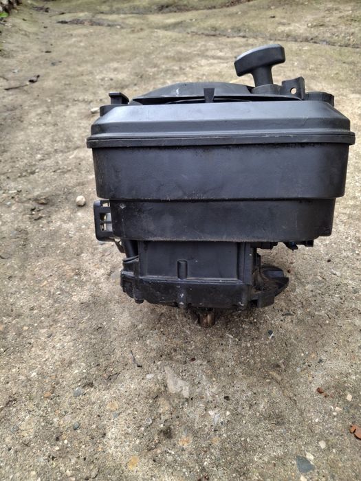 Двигател Briggs Stratton, Бригс Страйшън