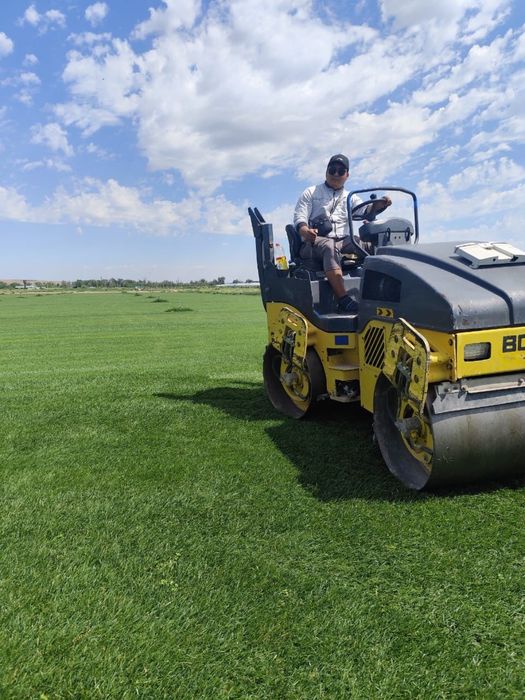 Услуги катков 5 тонн