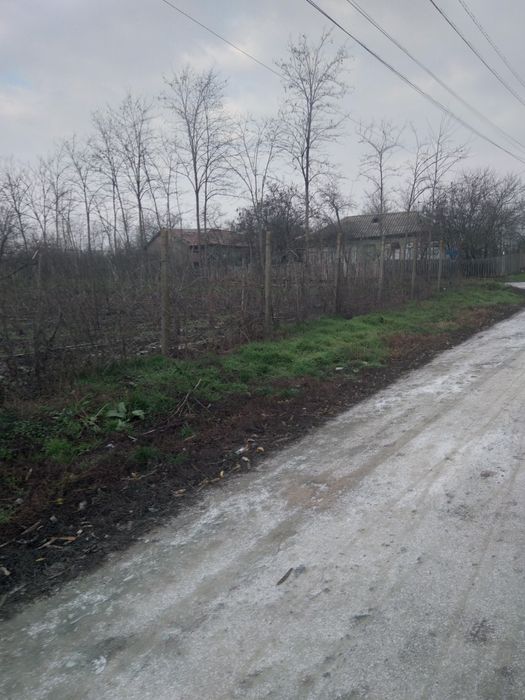 Teren sat Rasa;com Gradistea