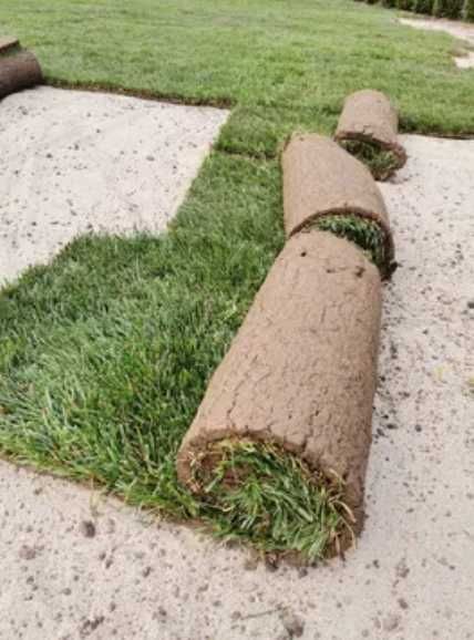 Gazon Rulou Cu Sistem De Irigare – Execuție Completă, Preț în Privat