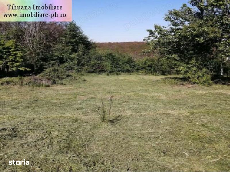 Teren de vanzare - Cocosesti(com. Paulesti)