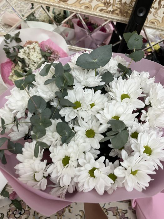 продается цветы  красивые