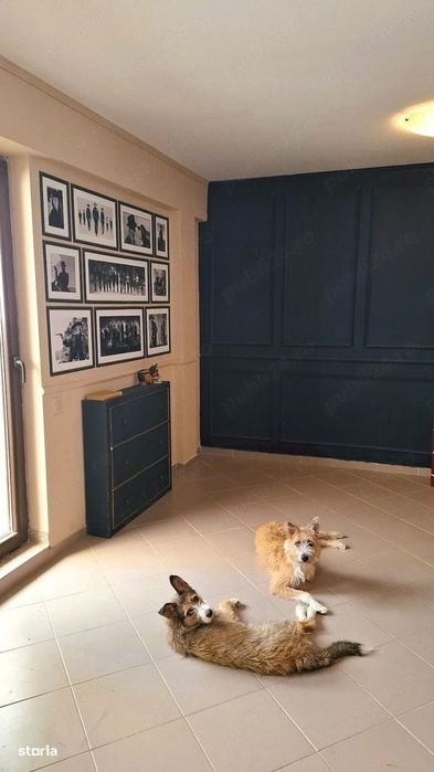 Apartament 2 Camere-Tip-Studio-1-Decembrie