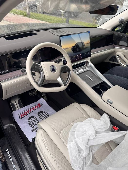 Denza N9 restailing! Srochna