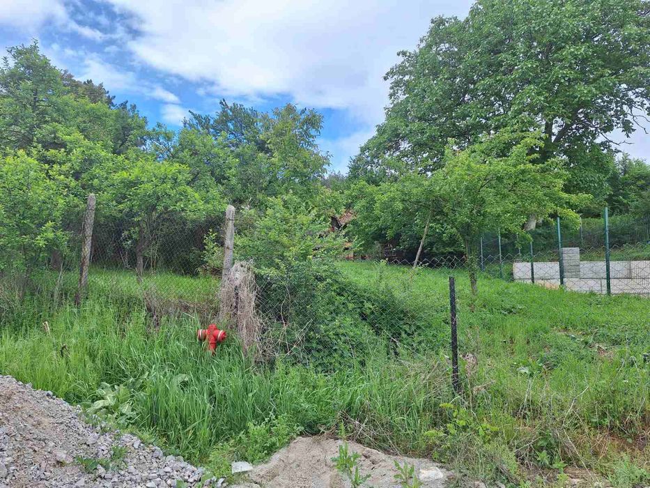 УПИ в с. Дрен, община Радомир