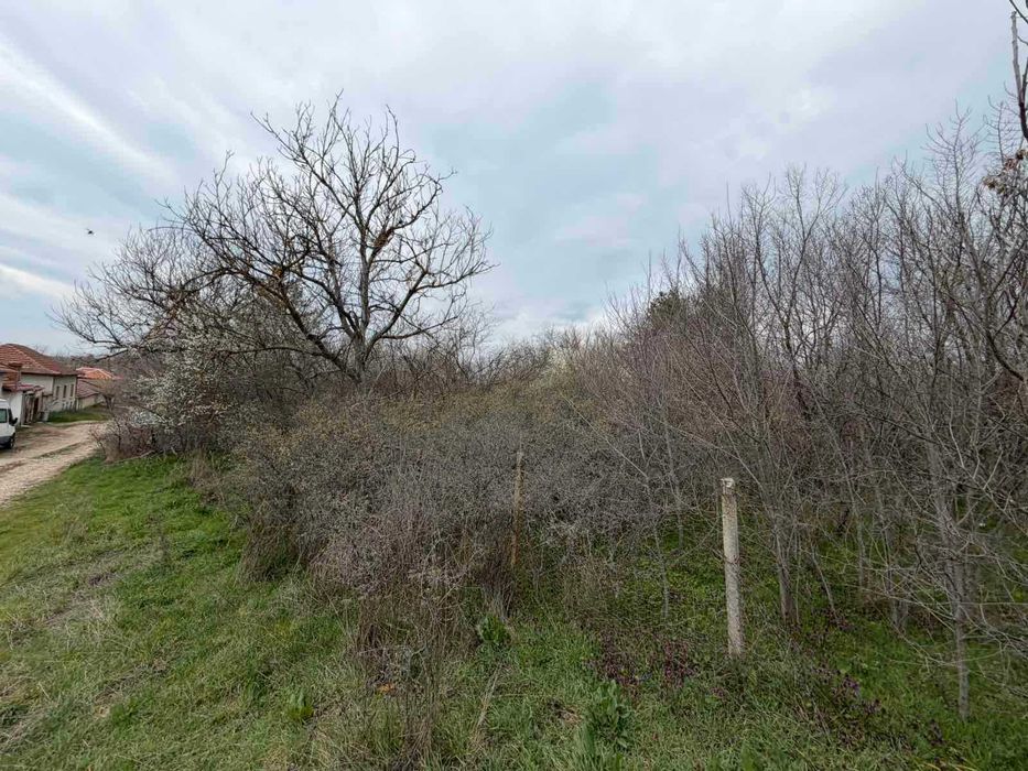 Продава се Парцел в с. Братя Даскалови, Област Стара Загора - 1150 кв.м за 4 €/кв.м - Снимка #9