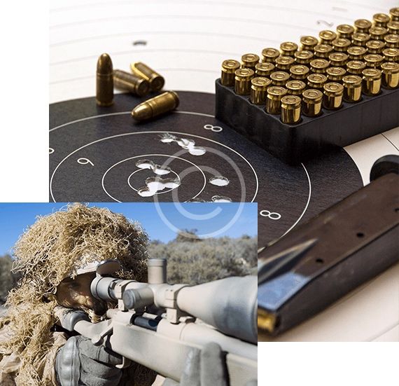 Curs arme si munitii port arma