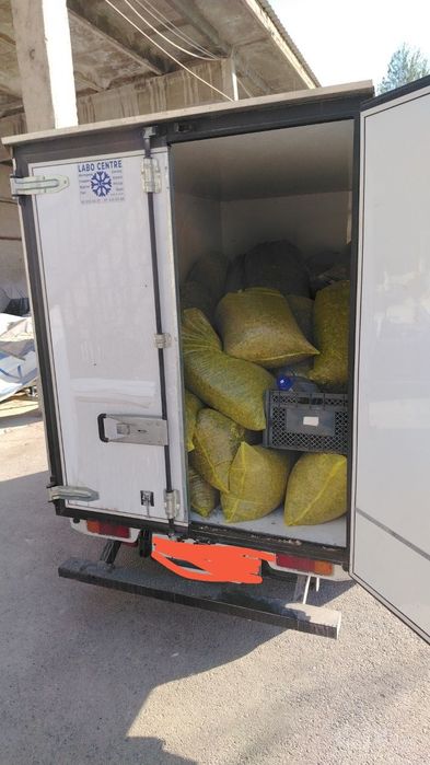 Silos sotiladi 20kg qoplangan 20000 ming sum.