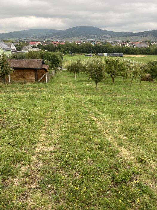 Teren Intravilan Unirea Viile cu Pomi