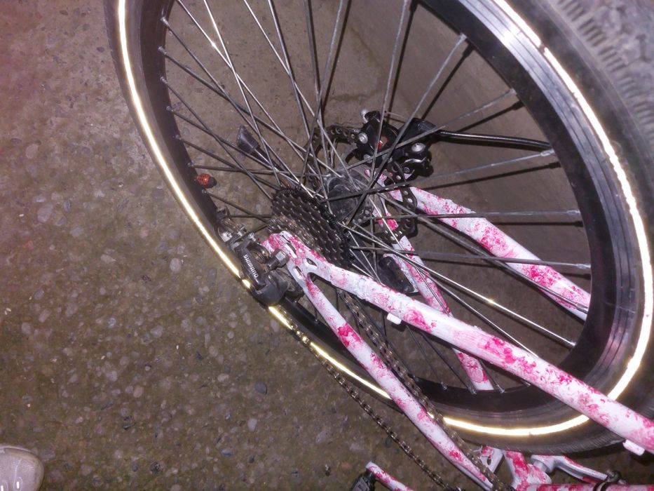 Бразильский дерт-Mtb