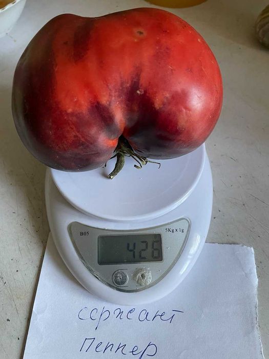 Коллекционные семена томатов