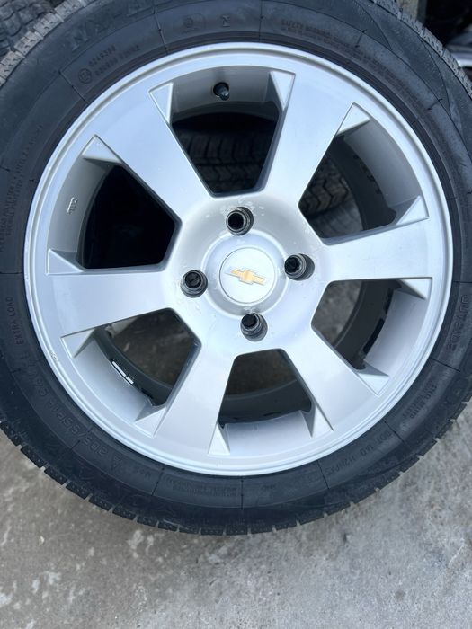 Jentra saka 16 yumshoq baloni bilan