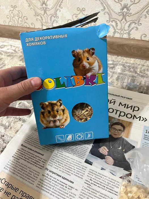 Продам Хомяка с контейнерам