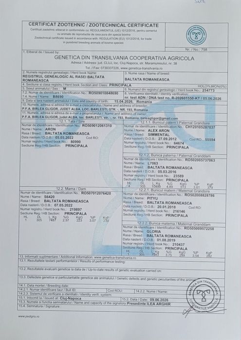 Vând tauri cu certificat de origine