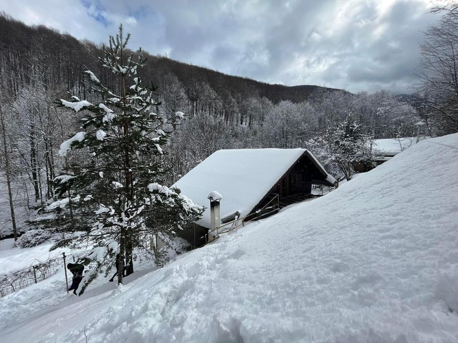 Продава се Къща в с. Чифлик, Област Ловеч - 196 кв.м за 391 €/кв.м - Снимка #13