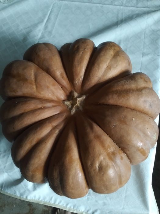 Тыква кусочками сладкая