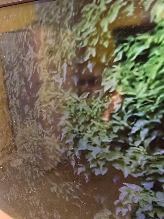 Телевизор LED Smart Samsung, 40" (100 cM), 40NU7182, 4К Ultra HD