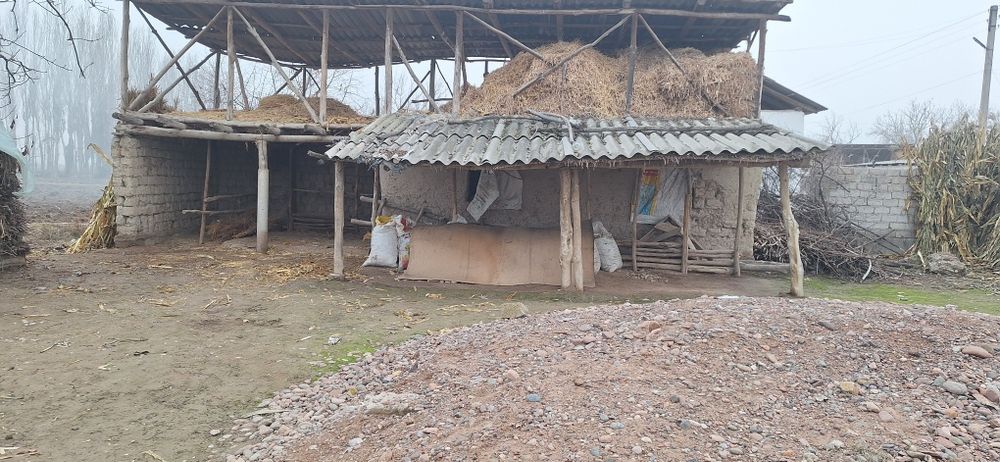 Уй сотилади 2 та йонма йон 1 чиси 3 хона кейнгиси 2 хона